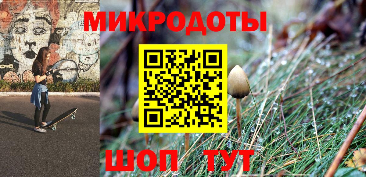 Гагарин  Псилоцибиновые грибы MAGIC MUSHROOMS  Вход с VPN 
