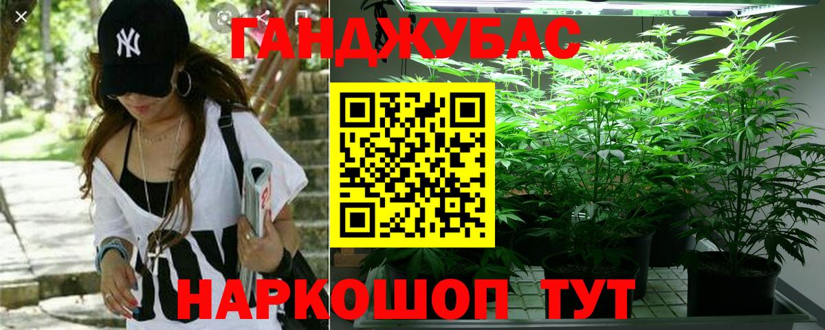 МАРИХУАНА семена Гагарин